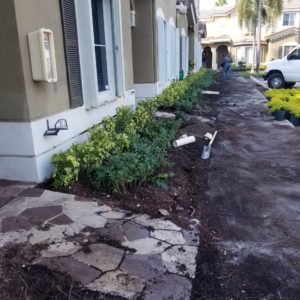 Garden Restoration For Condominiums