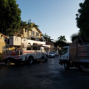 Construction And Gardening Trucks