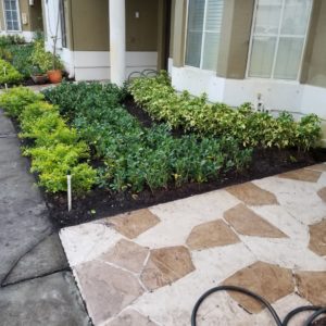 SIDE VIEW OF NEWLY PLANTED GARDEN AND HOUSE ENTRANCE