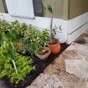 NEWLY PLANTED GARDEN